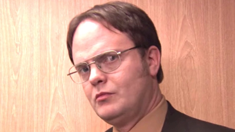 Rainn Wilson as Dwight Schrute