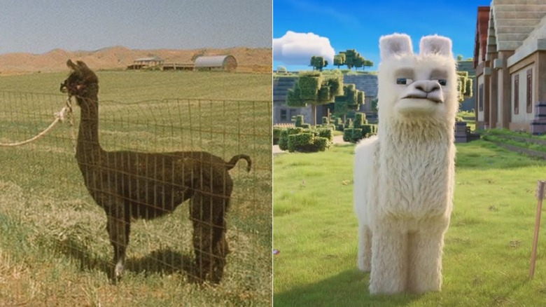 Tina the llama (left); a Minecraft llama (right)