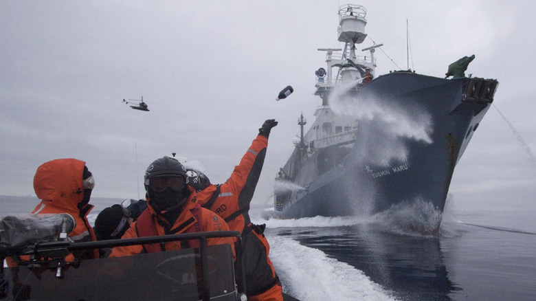Sea Shepherd crew strike whalers