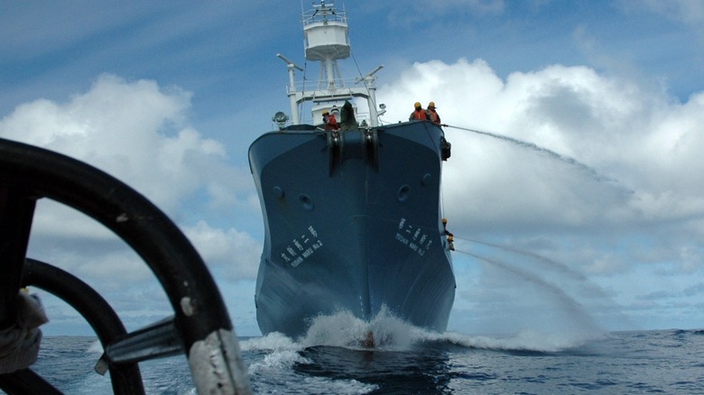 Towering Japanese whaler ship