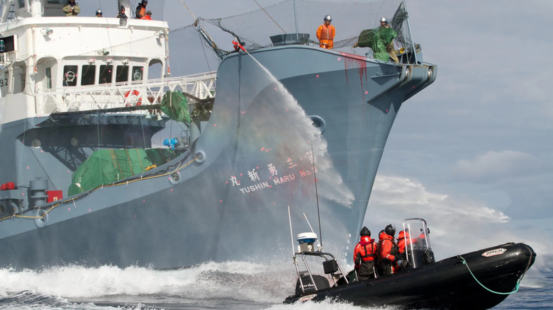 Yushin Maru intimidates activists