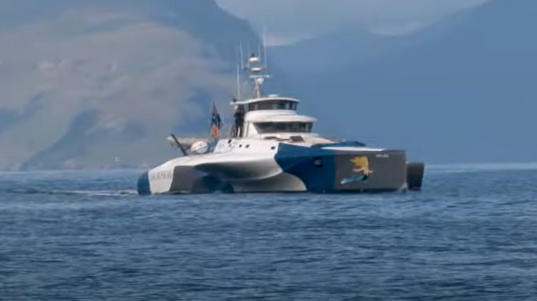 the Brigitte Bardot at sea