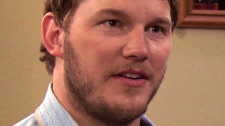 Chris Pratt as Andy Dwyer