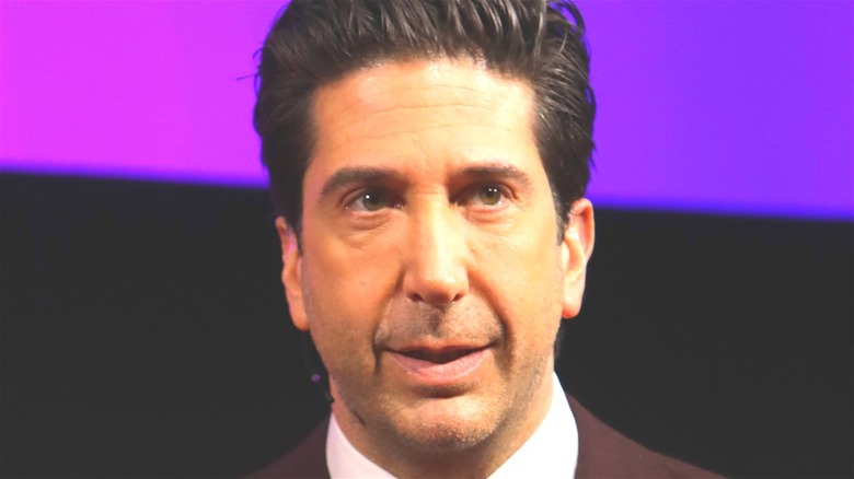 David Schwimmer looking on