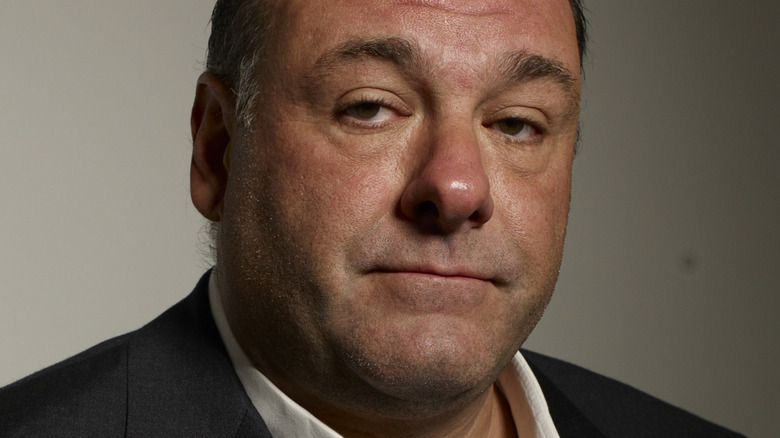 James Gandolfini at a press event