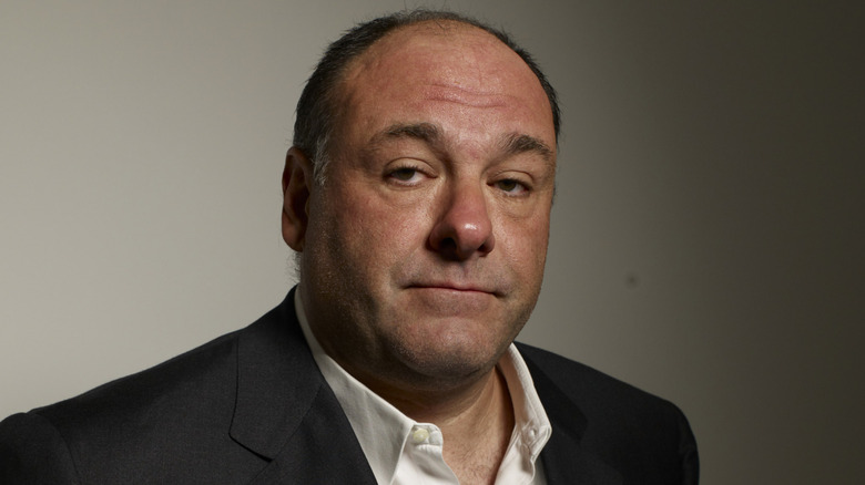 James Gandolfini at a press event