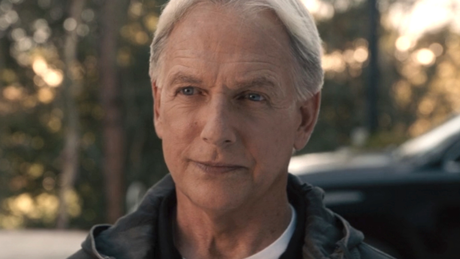 What Happened To Gibbs Star Mark Harmon After His NCIS Exit what-happened-to-gibbs-star-mark-harmon-after-his-ncis-exit