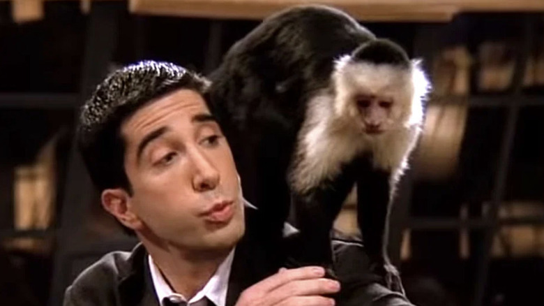 David Scwhimmer as Ross with Marcel
