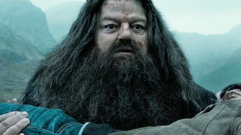 Hagrid carrying Harry at the end of Deathly Hallows