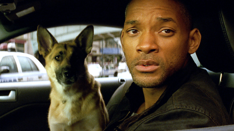 Will Smith and dog in car