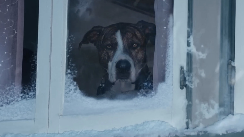 Sawyer looking out a snow-ridden window