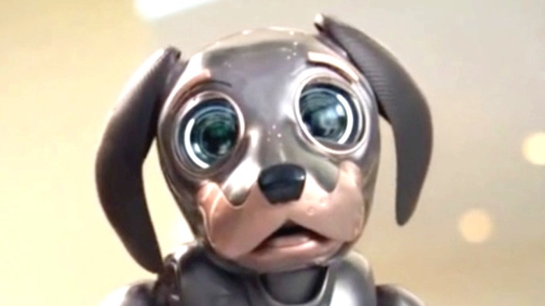 Robo dog in Kia commercial