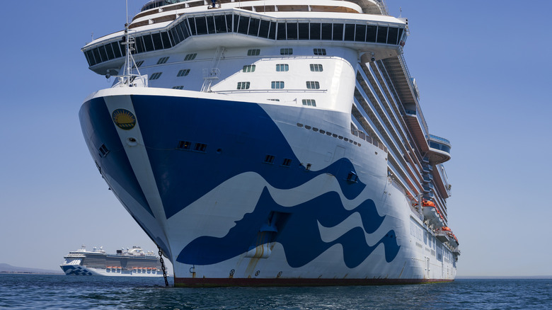 A Princess Cruise ship on the water