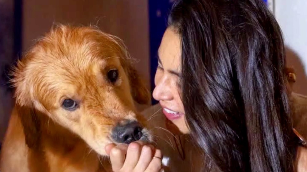 Carol pets Miso the golden retriever