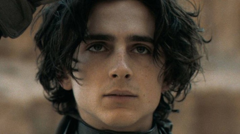 Paul Atreides looking 