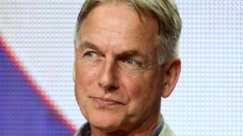 Mark Harmon NCIS panel