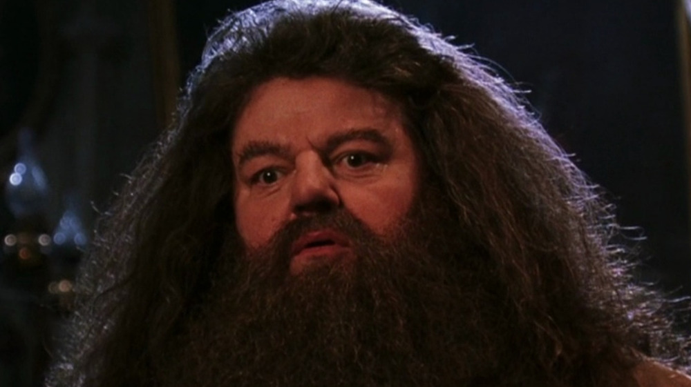 Robbie Coltrane as Hagrid in the Sorcerer's Stone