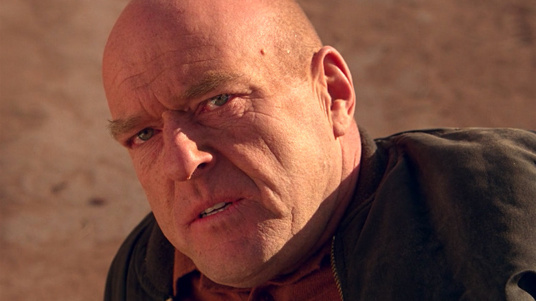 Dean Norris in Breaking Bad