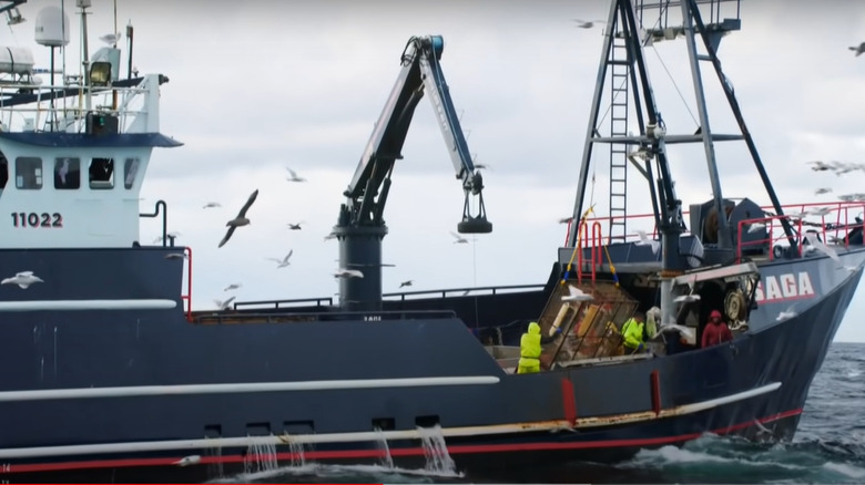 The Saga at sea