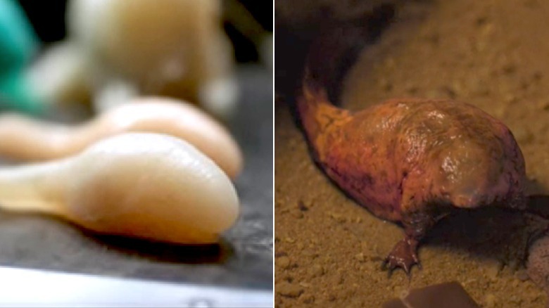 A silicone gel stand-in for Dart vs. the finished creature in "Stranger Things"