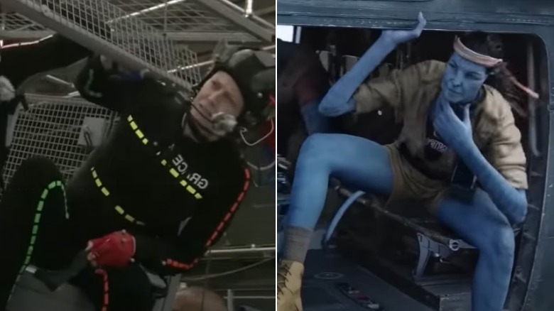 Weaver in mesh box replaced with CG aircraft