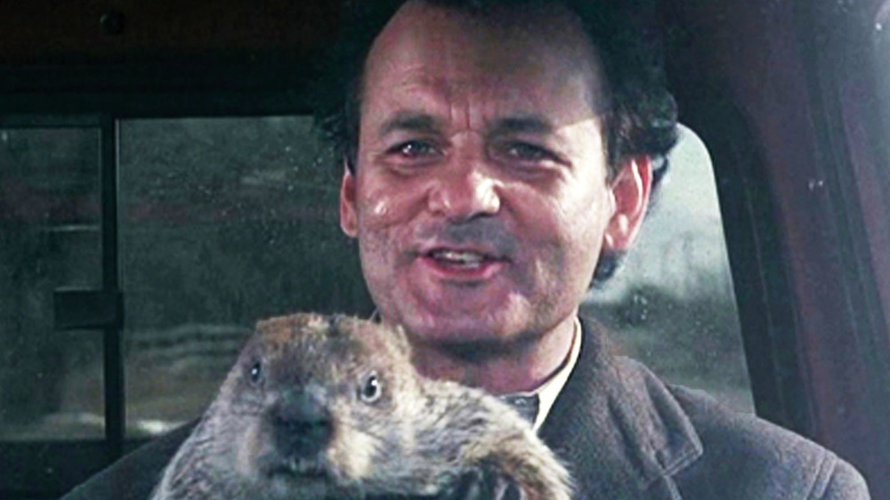 Groundhog day Bill Murray and groundhog