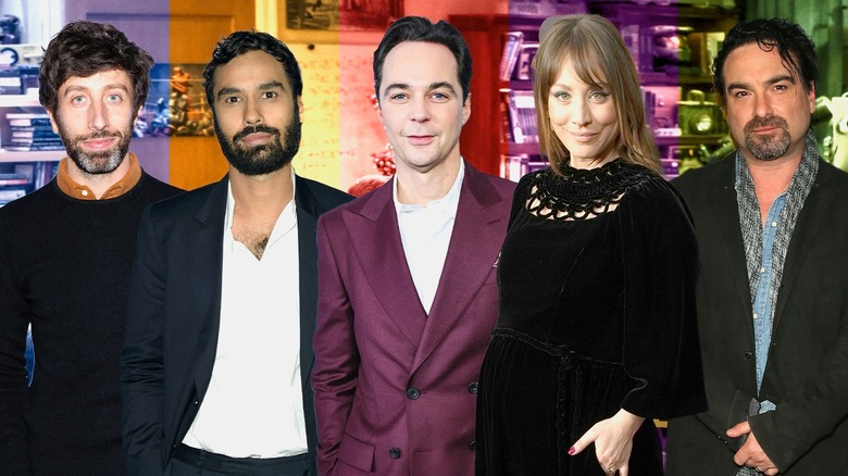 Big Bang Theory actors pose