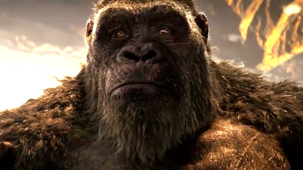 Kong looking serious