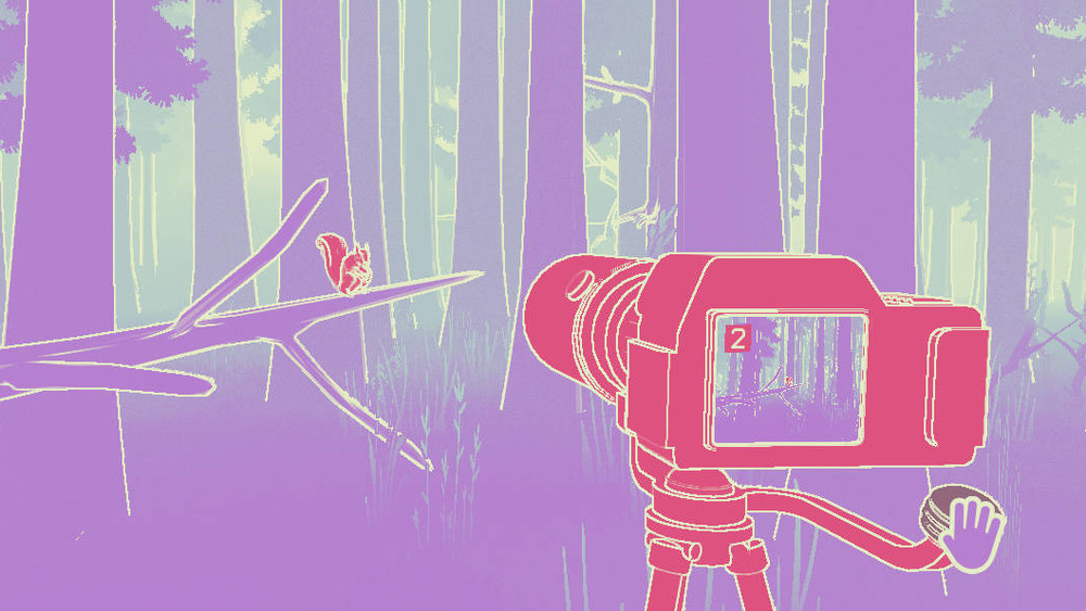 A red camera takes a picture of a squirrel in the woods
