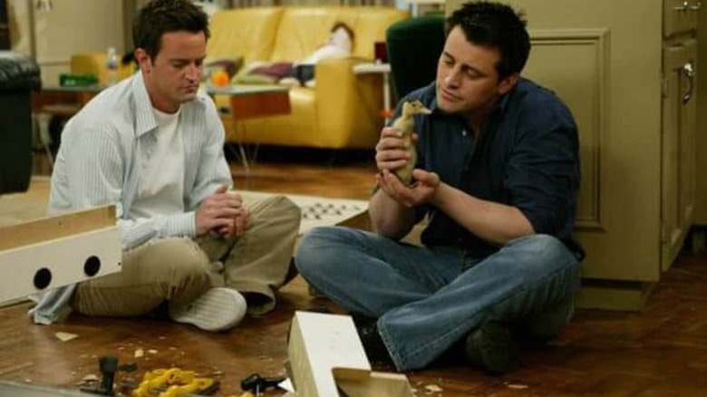 Joey and Chandler with new Duck and Chick