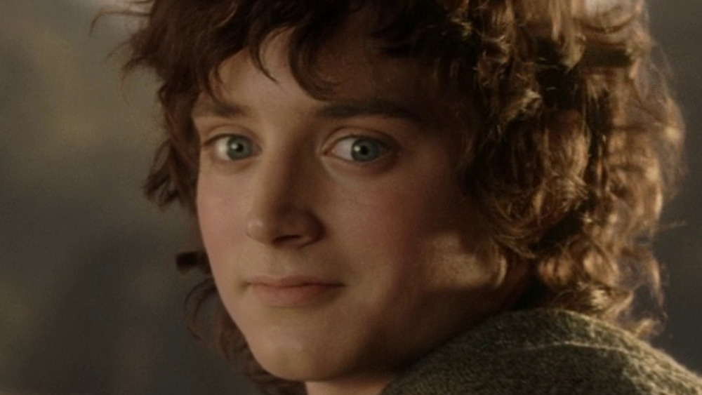 Frodo looking back