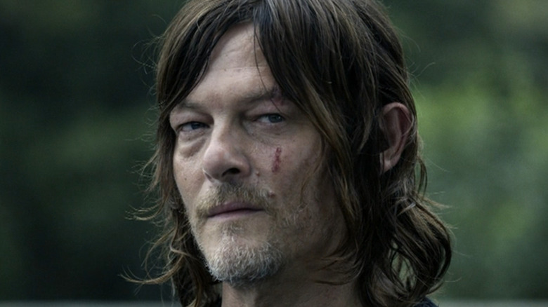 Norman Reedus as Daryl Dixon