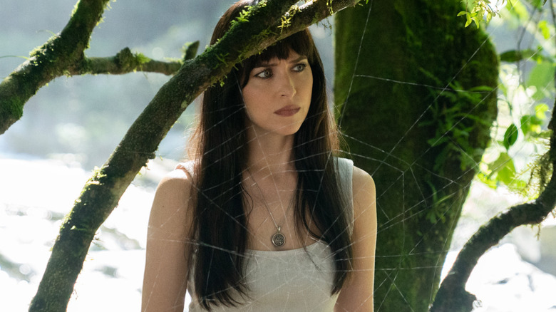 Cassandra Webb behind spiderweb