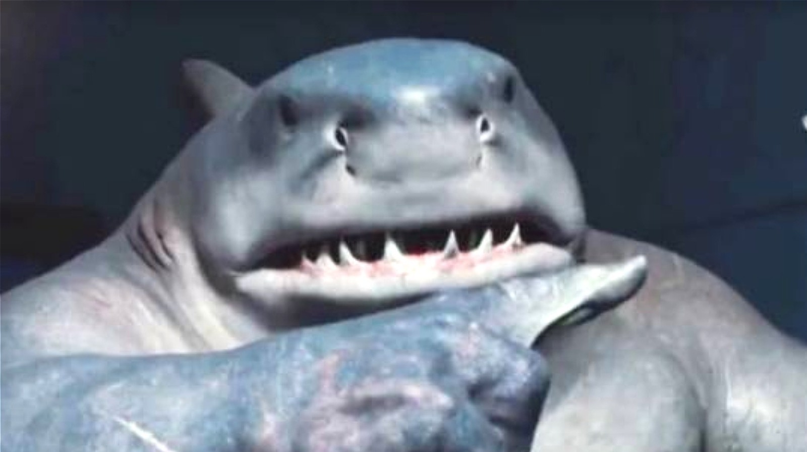 What Were The Sea Creatures That Attacked King Shark In The Suicide Squad What Were The Sea Creatures That Attacked King Shark In The Suicide Squad