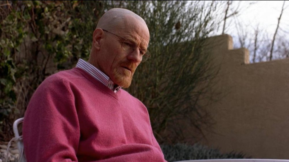 Walter White Clothes