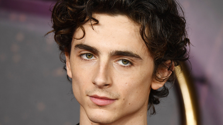 Chalamet looks to side 