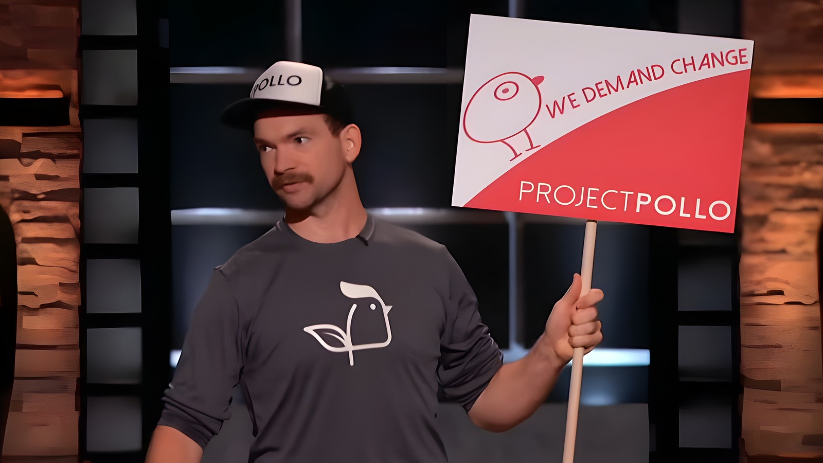 Whatever Happened To Project Pollo After Shark Tank?