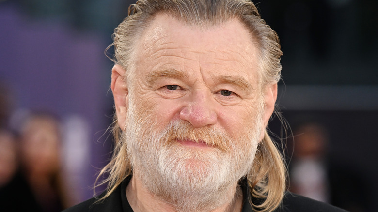 Brendan Gleeson on red carpet