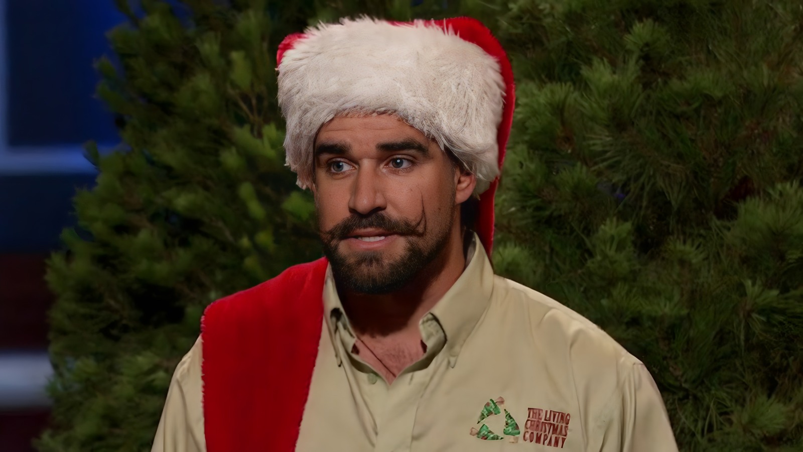 Whatever Happened To The Living Christmas Company After Shark Tank?