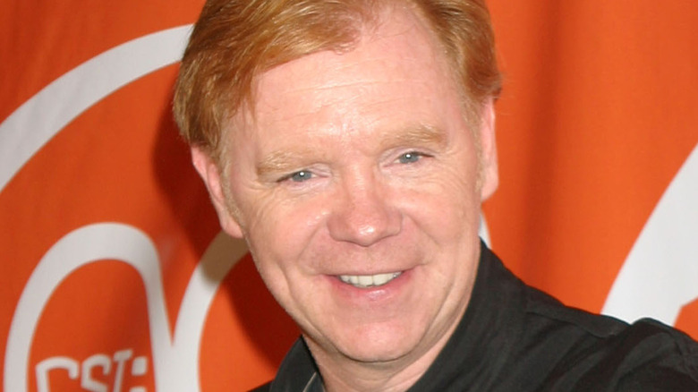 David Caruso posing