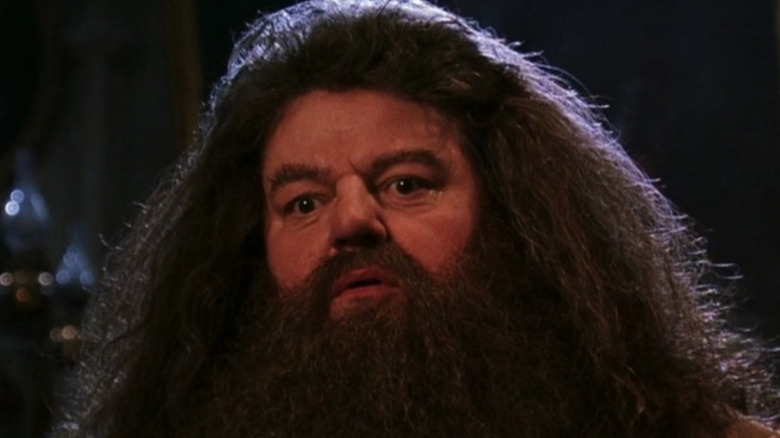 Rubeus Hagrid from Harry Potter