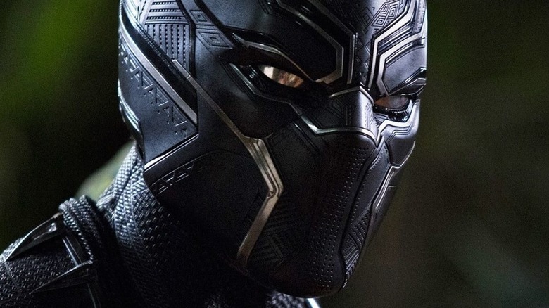T'Challa in Black Panther costume