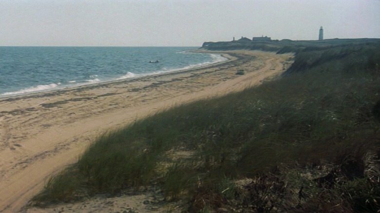 Final shot in "Jaws" as Hooper and Brody safely reach the shore.