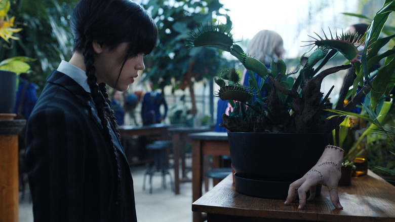 Wednesday and Thing staring at a plant in "Wednesday."