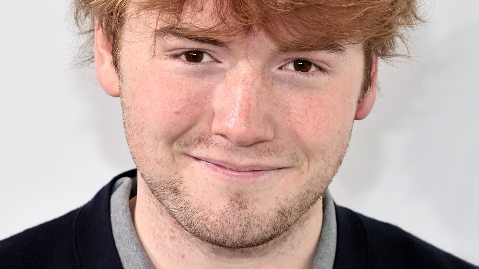 Where You've See The Cast Of Licorice Pizza Before