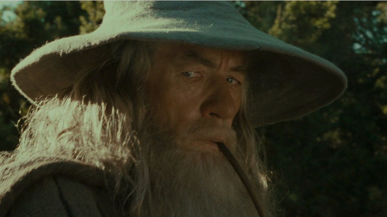 Gandalf the Grey