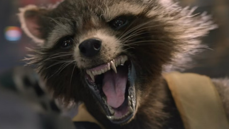 Rocket Raccoon yelling