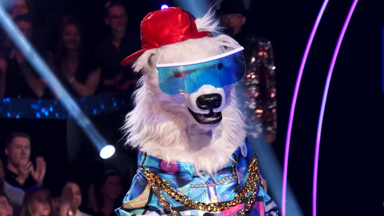 The Polar Bear standing on stage