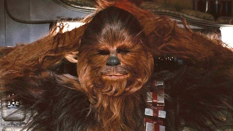 Chewbacca relaxing with arms behind head