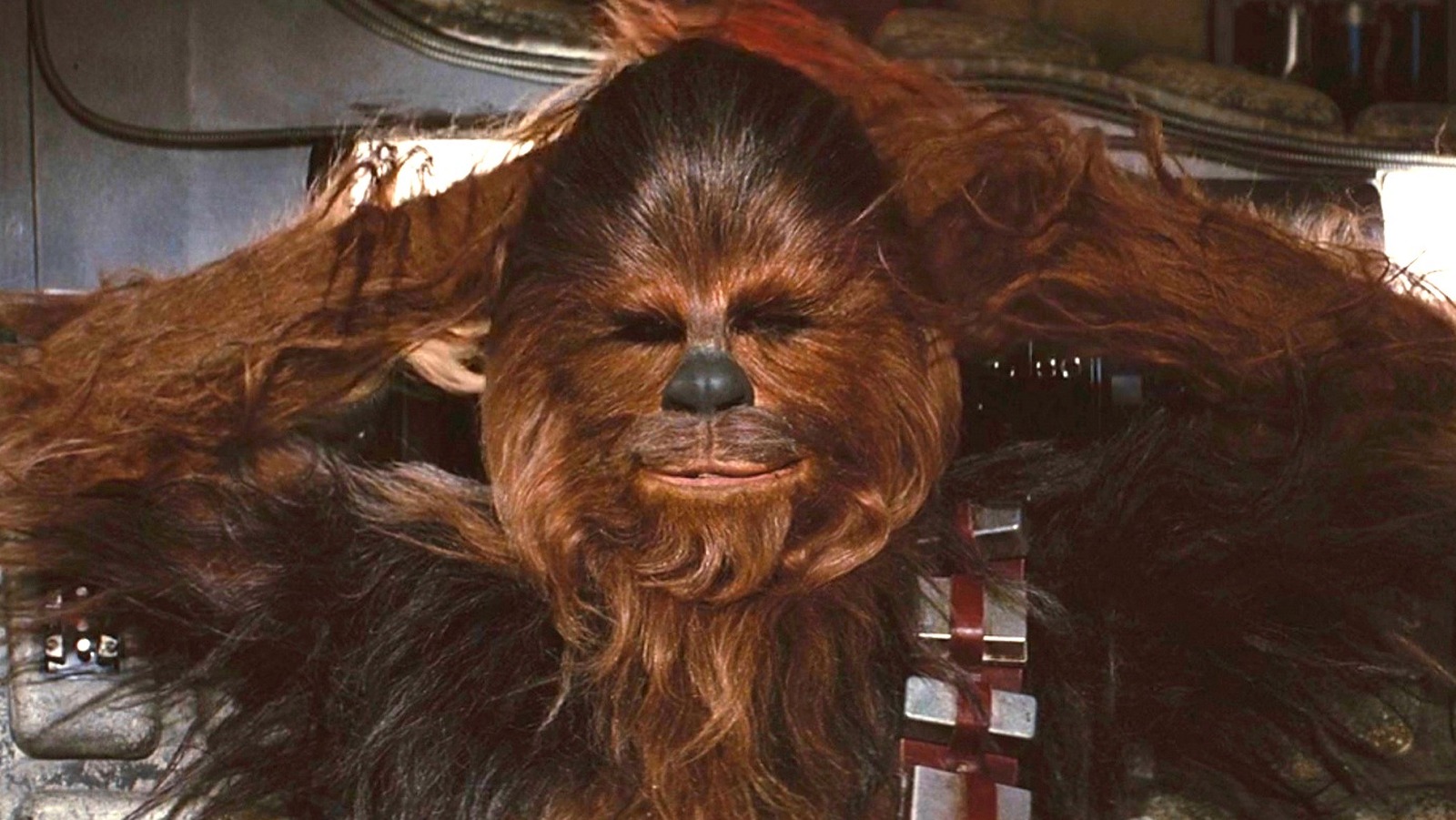 Chewbacca  Star wars, Star wars episodes, Star wars fans